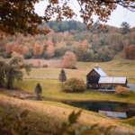 Jednog kišnog dana, moj sin Filip pojavio se na vratima
