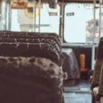 Mirna starica i mračna tajna: kako je jedan mesar spasio četiri lava