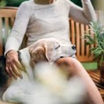 Tragedija u Mostaru – ko je bila Aldina Jahić i šta znamo o ubistvu