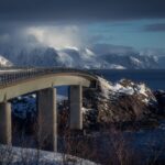 Tiha sudbina gospođice Halloway: Priča o izgubljenom glasu i potrazi za slobodom