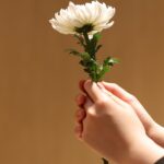 Kada dete ćuti, a zid govori – priča o roditeljskoj intuiciji i razumevanju dečjih strahova