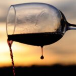 Kuća koja je čuvala njeno srce: priča o ljubavi, sećanju i povratku onome što je zaista važno