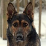 Kada istina zaboli: kako sam otkrila da moj muž vodi dvostruki život i kako sam pronašla mir