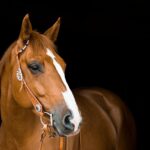 Snaga jednog “dosta”