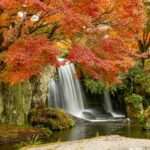 Tragedija u Leipzigu: Muškarac namjerno udario partnericu automobilom – važnost prevencije porodičnog nasilja