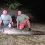 Snažno nevrijeme pogodilo Francusku: Dvije osobe poginule, desetine hiljada domaćinstava ostale bez struje