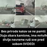 Upecali soma dugog više od 2,5 metra: Ribolovci iz Hrvatske doživjeli ulov života, a onda ga vratili u jezero